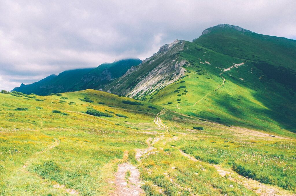 hiking trail, hike path, trail