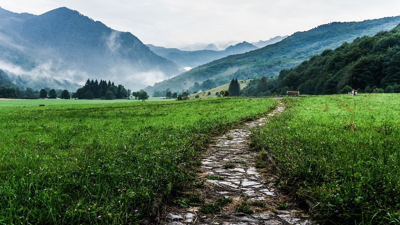 walkway, grass, fields, mental health links